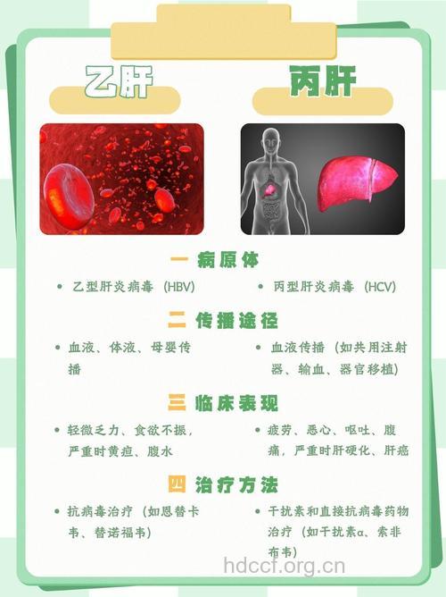 丙肝和乙肝有什么区别