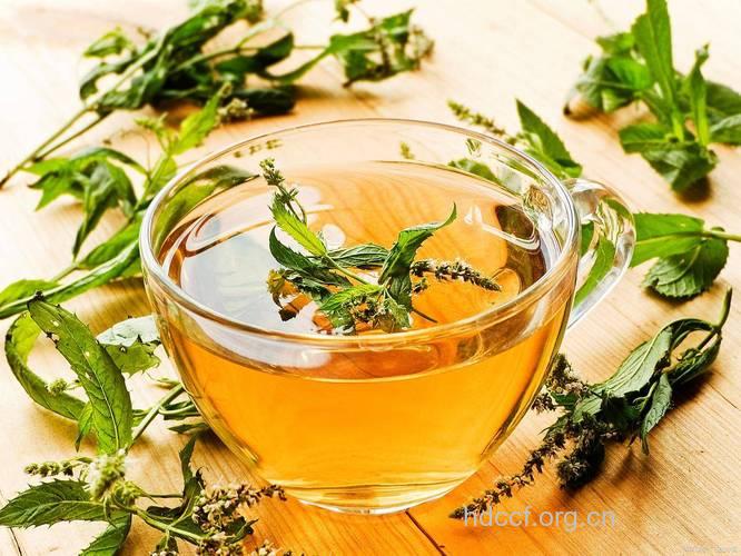 白领上班时必备清毒热茶