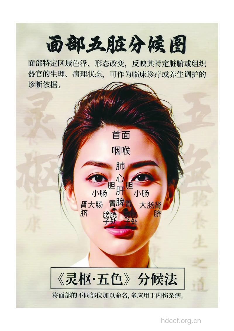 中医详解五官和五脏的对应关系