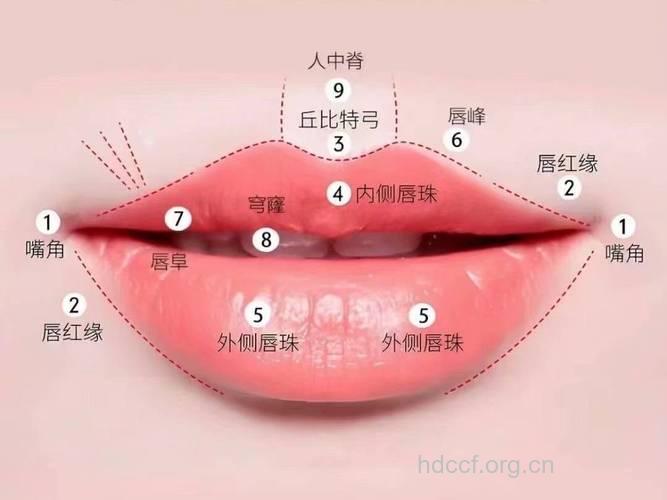 嘴部透露出来的健康信息有哪些