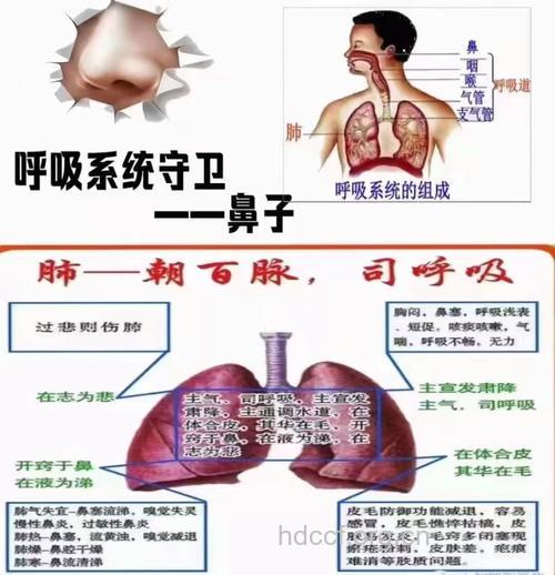 看懂鼻子的健康信号 学当老中医