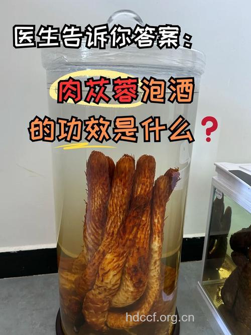 哪些中药泡酒易引起中毒