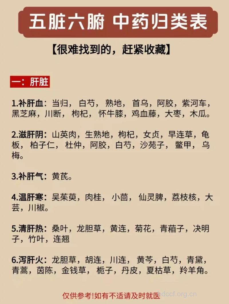 人体五脏怎么补 选对中草药是关键