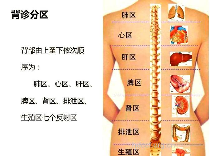 背部这些部位隐藏健康的真相