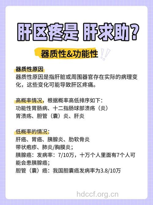 肝区隐痛有什么原因