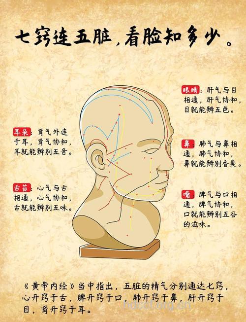 中医告诉你为何七窍不能流血