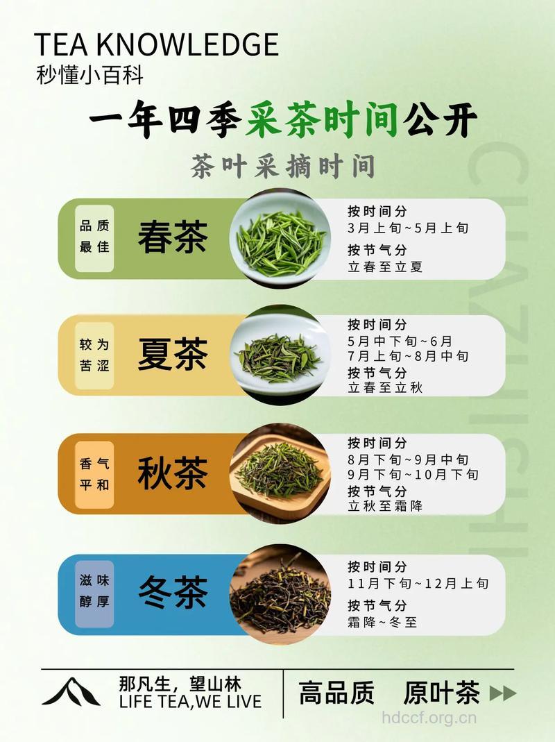 怎么看茶叶属于哪个季节？