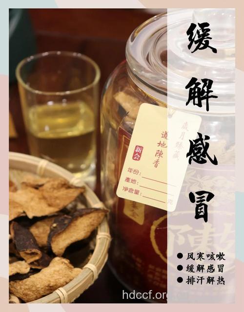 感冒了可以喝哪些药茶