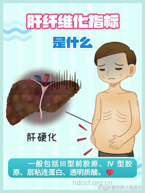 丙肝的纤维化 你知多少?