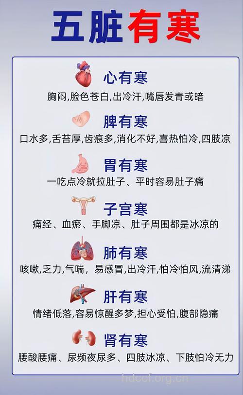 人体五脏怕这些 胃怕生冷肝脏怕胖