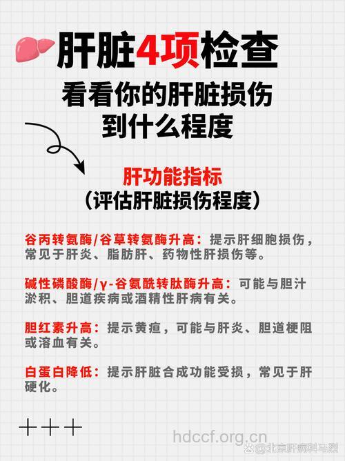 慢性肝损伤必做这6个检查