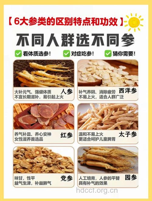 人参的选购及正确食用方法