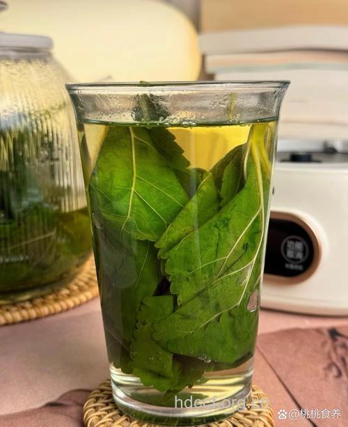 小小的桑叶润眼明目