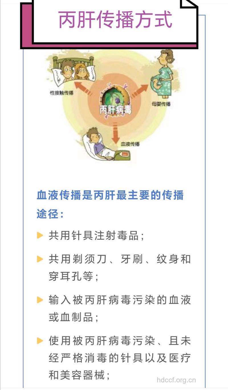 丁肝的传播途径及其预防方法