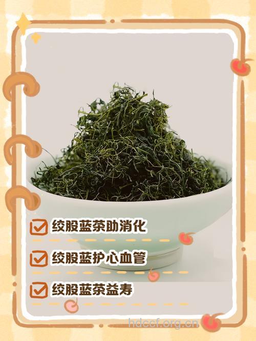 绞股蓝的功效 泡水喝能降血脂