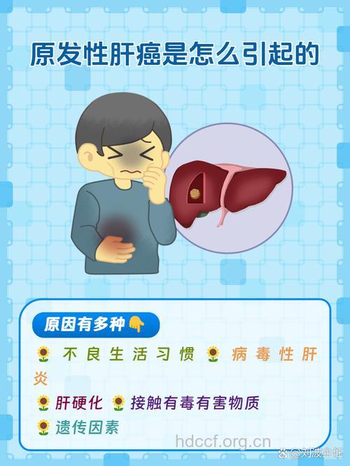 原发性肝癌与什么因素有关