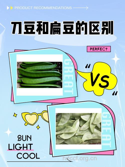 怎么辨别真假刀豆 怎么挑选刀豆