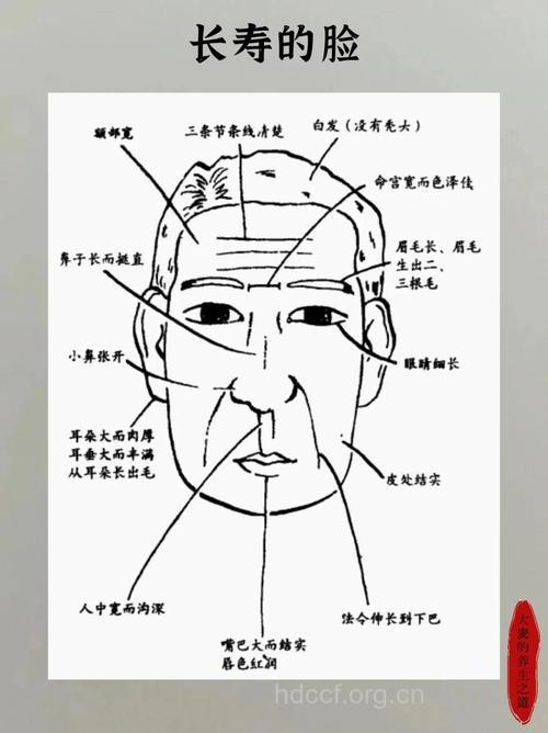 长寿老人的七大面相特征