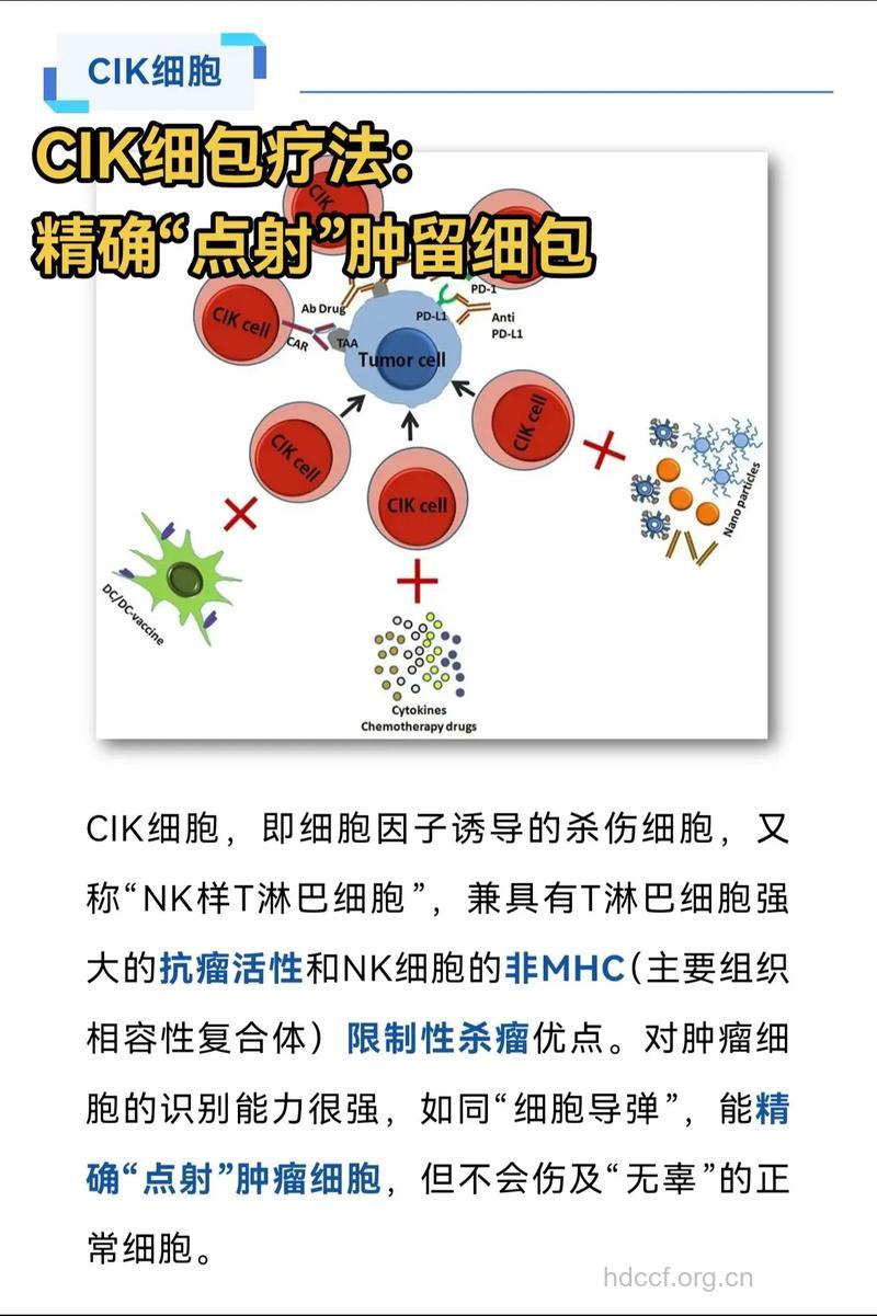 解密CIK细胞疗法