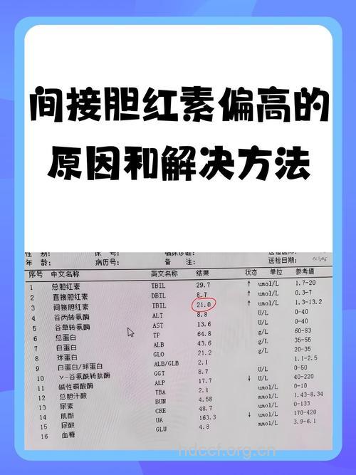 间接胆红素偏高怎么办