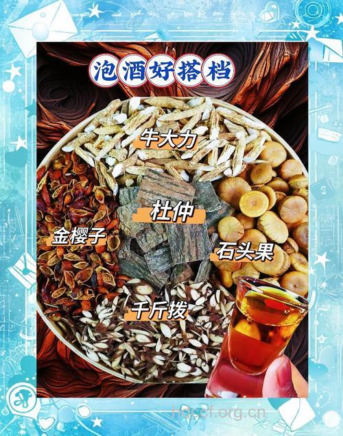 有哪些药酒可以让你越喝越瘦呢?