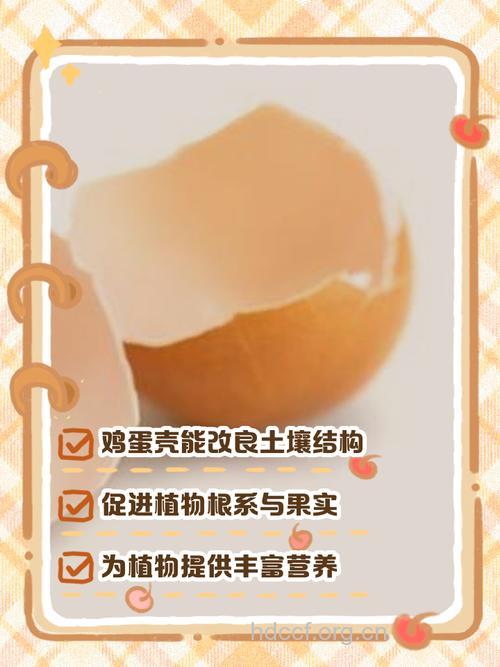 你知道鸡蛋壳有哪些功效吗？