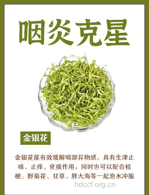 哪些药茶可以治疗慢性咽喉炎