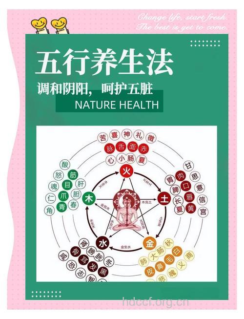 身体五行平衡影响健康