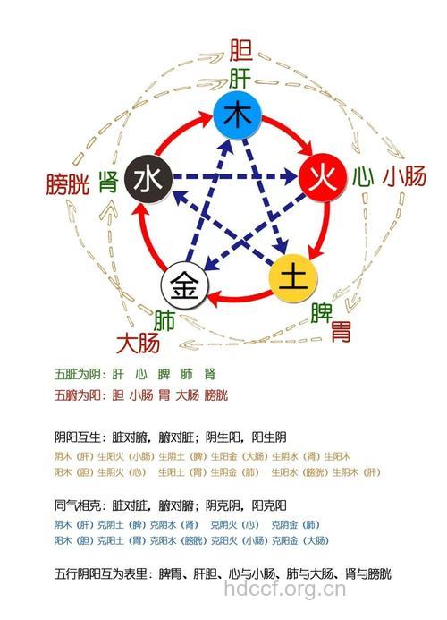 五行理论与中医理论的关系