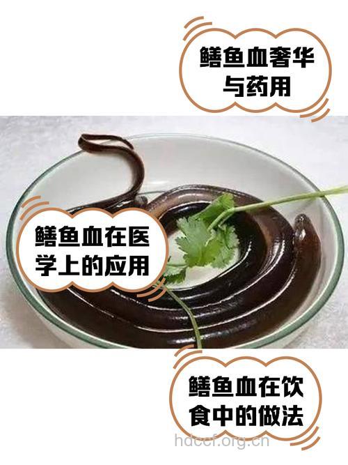 鳝血法可以治疗哪些疾病