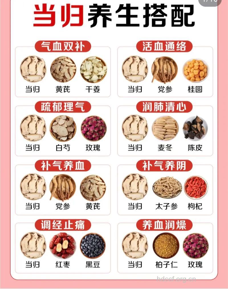如何选择药膳益气补血?