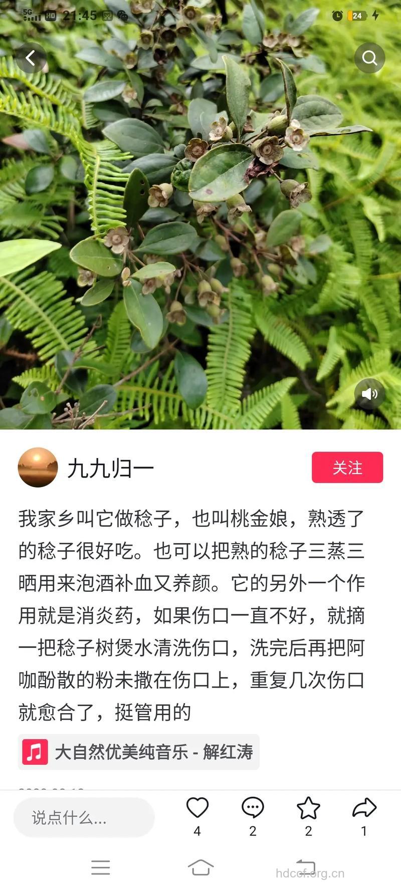 药捻法可以治疗哪些疾病