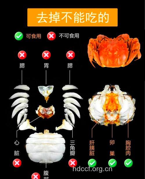 动物的哪些部位是绝不能吃