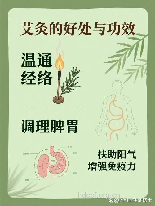 什么是中医艾灸疗法