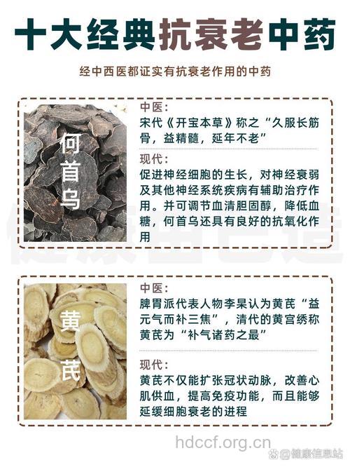 哪些中药可以抗衰老呢？