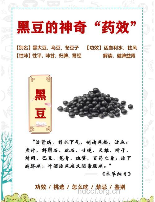 黑豆有什么神奇功效