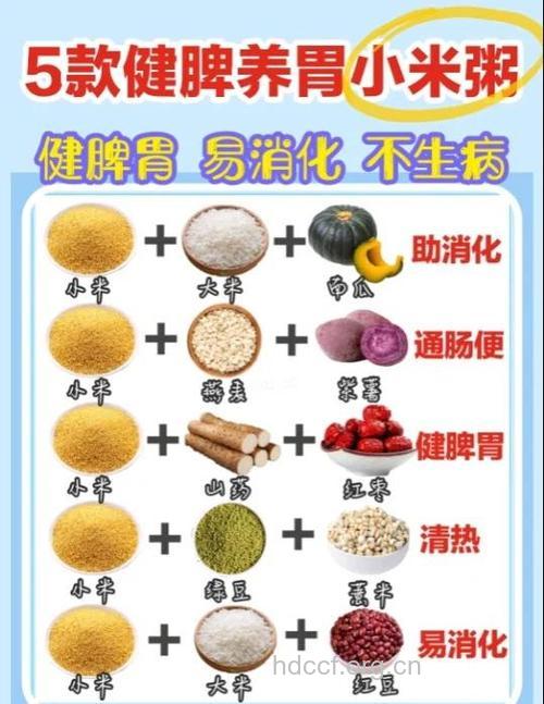 肠功能紊乱吃什么|肠功能紊乱食疗秘方