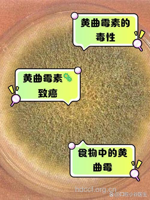 什么东西吃错比砒霜还毒