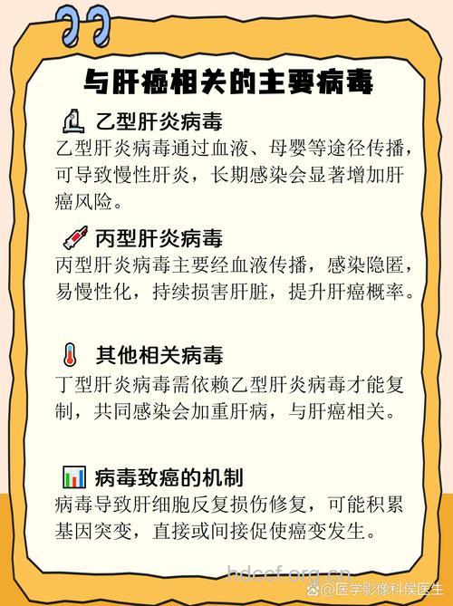 超8成肝癌与乙肝病毒感染有关