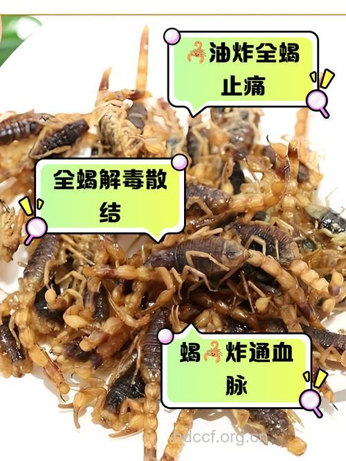 为什么蝎子不应上餐桌