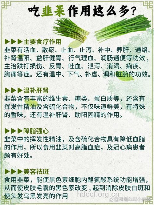 秋冬季节吃韭菜有什么好处