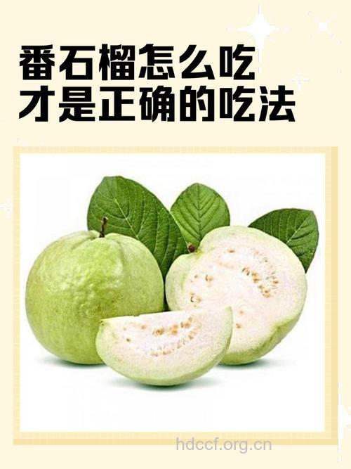 番石榴怎么吃比较好