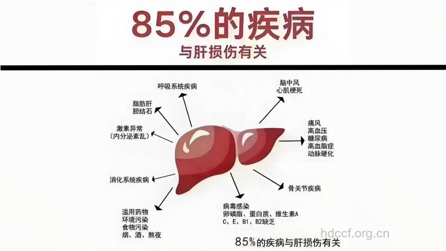 肝癌遗传问题你晓得多少?