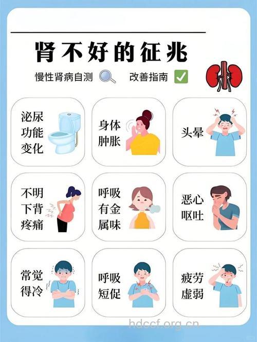 慢性肾炎|慢性肾炎的症状