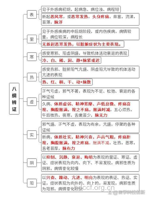 什么是八纲辨证源流？