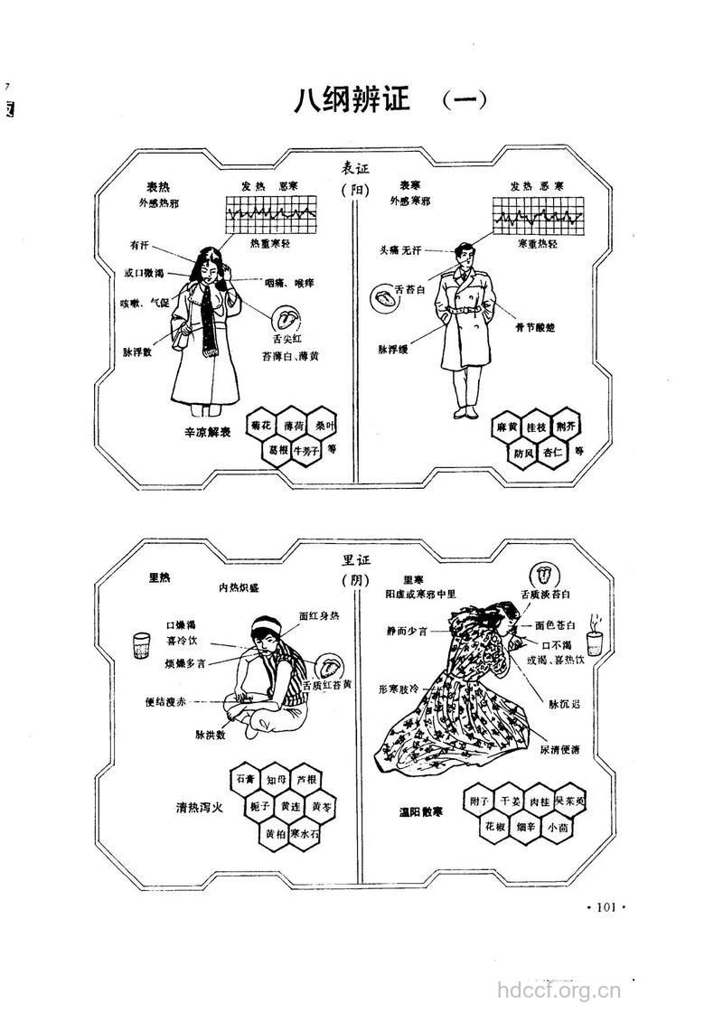 什么是八纲基本证候？