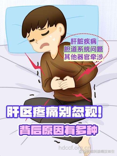 肝区隐痛不可小视