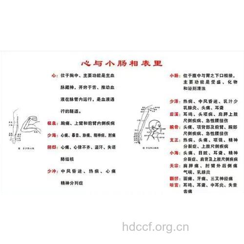 什么是心与小肠病辨证？