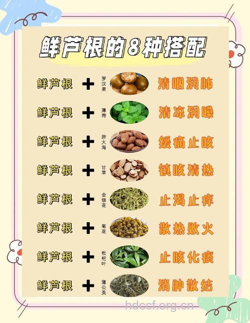 吃芦根有哪些好处