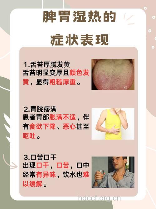 什么是湿热蕴脾证？